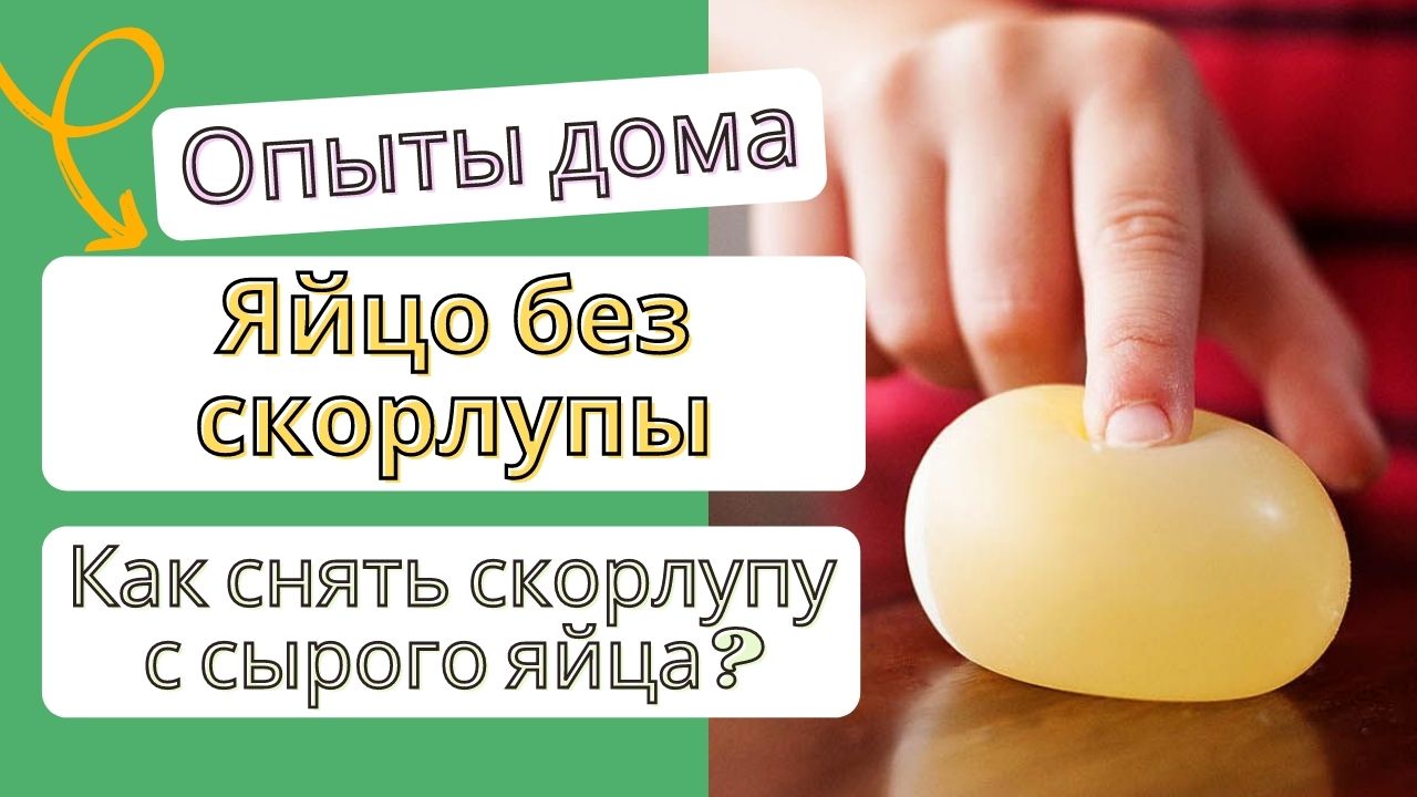 Яйцо в уксусе. Как снять скорлупу с сырого яйца? | Саша LAND | Дзен