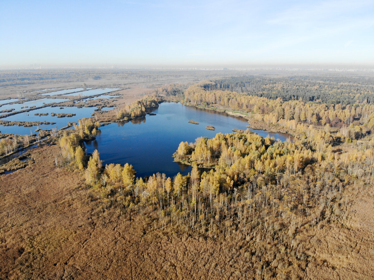 Летнее фото озера