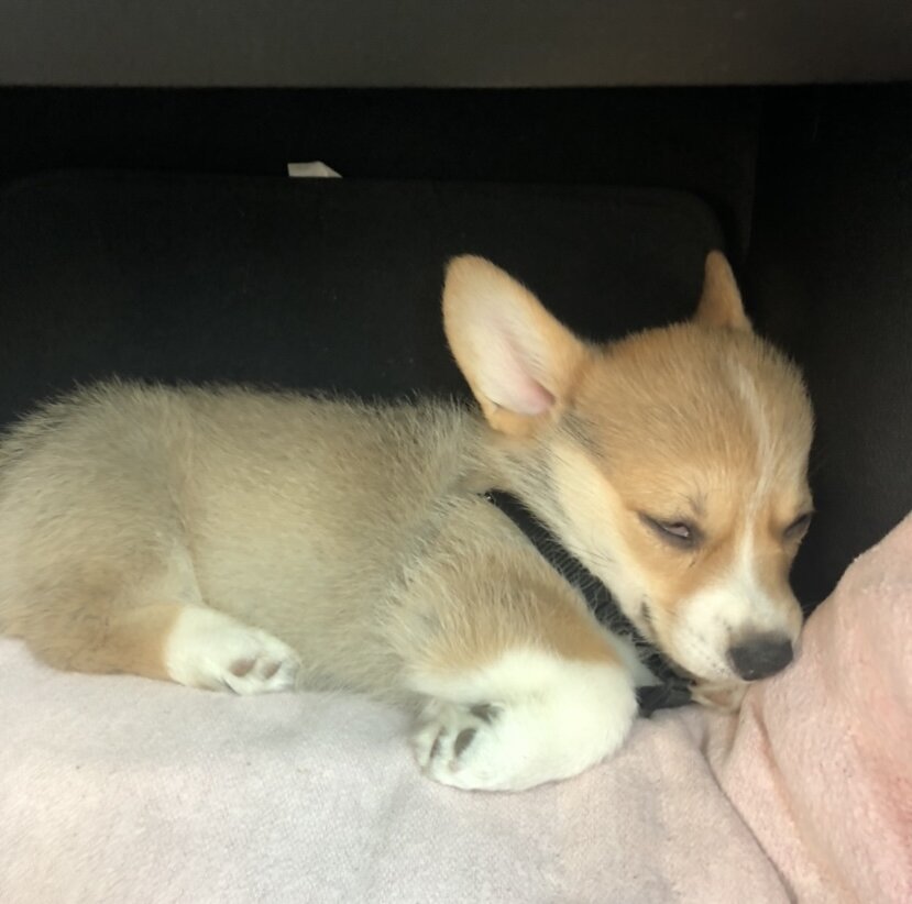 "да идите вы со своей машиной":))