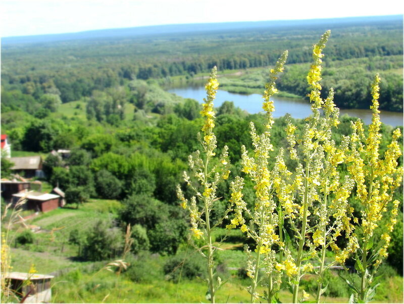 виды с Никольской горы