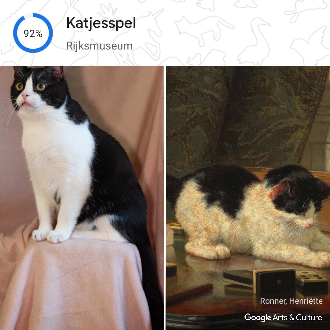 Тяпа в исполнении фотографа Валерии и прекрасный котик от Генриетты Роннер-Книп