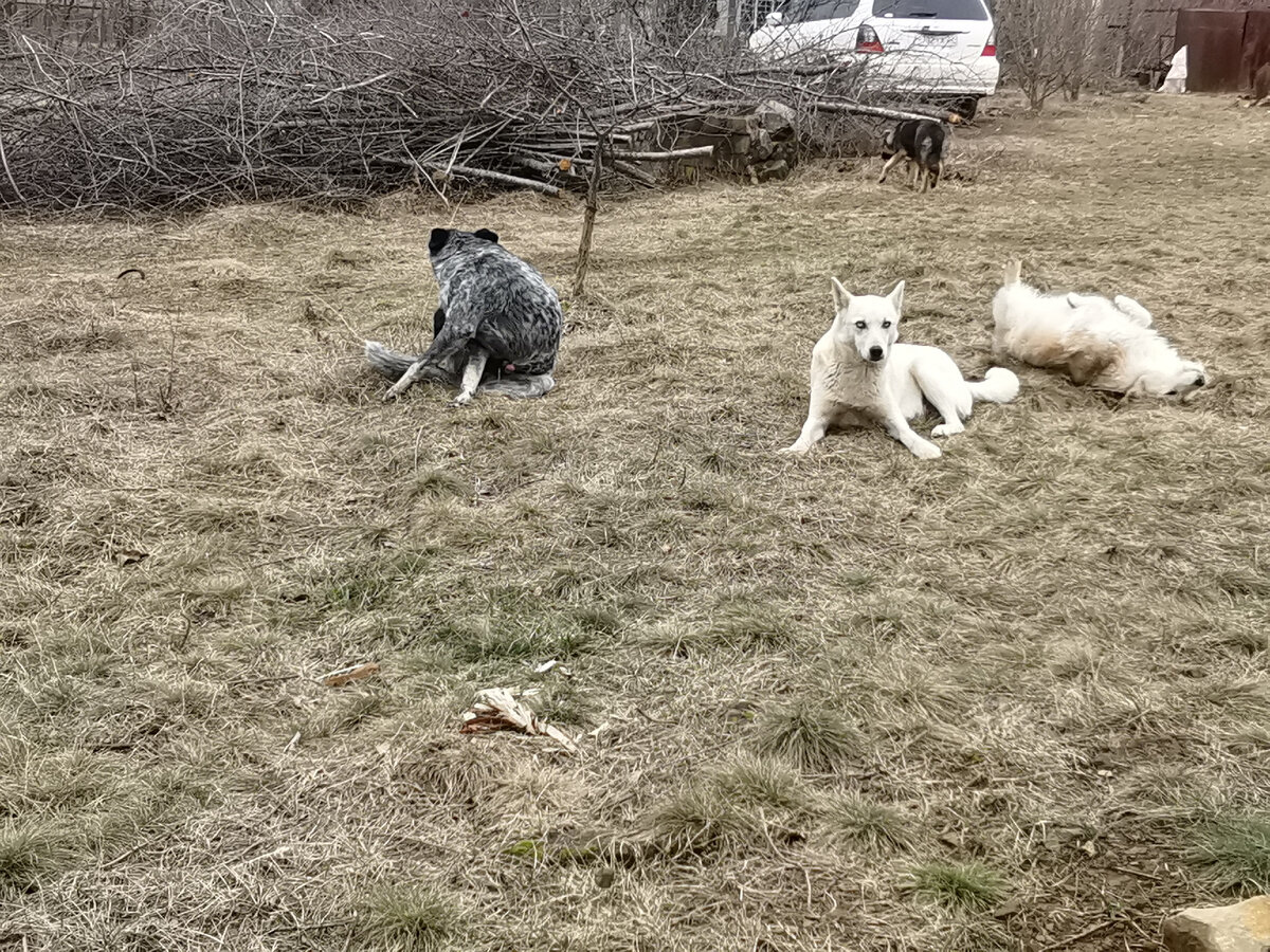 На солнышке. 