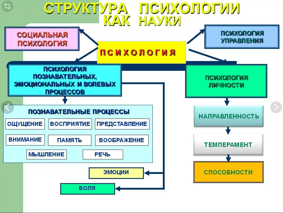 Виды психологии. Структура психологической науки система. Структура современной психологии схема. Структура науки общей, психологии. Структура психологической науки отрасли