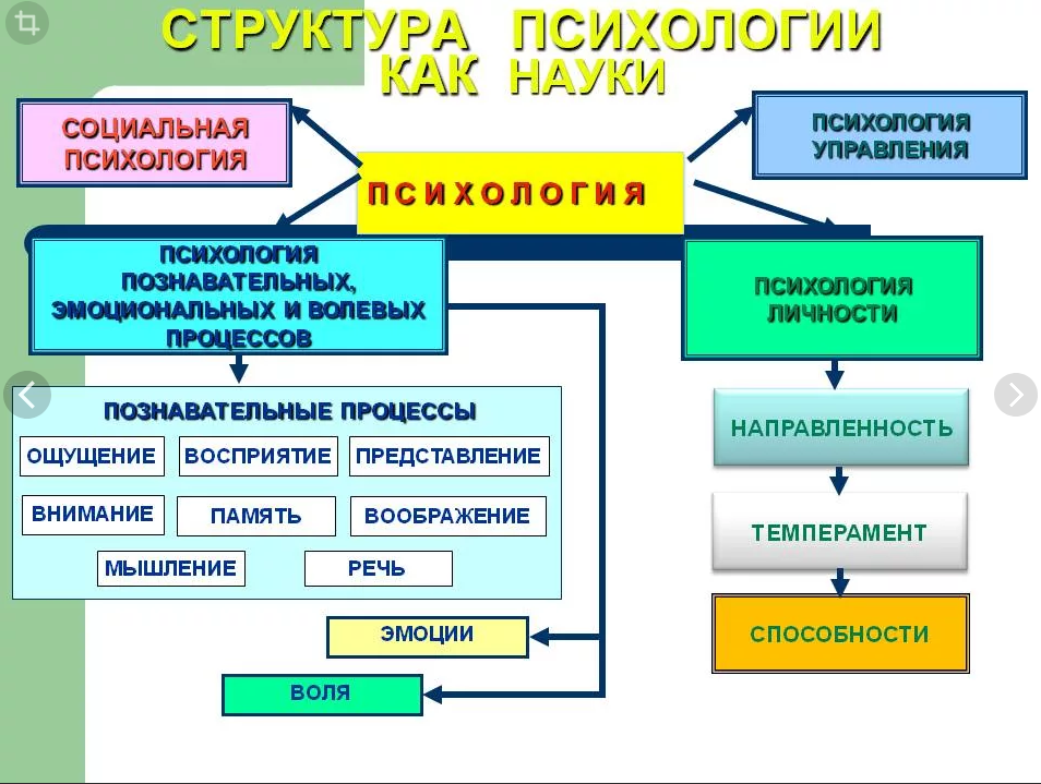 Общая система наук. Структура психологической науки система. Структура современной психологии схема. Структура науки общей, психологии. Структура психологической науки отрасли.