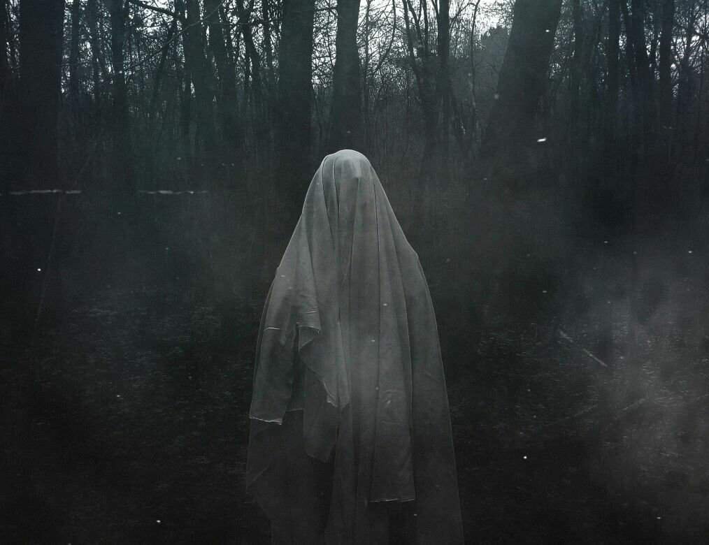 Все условно, естественно. Нашла вот такое привидение на просторах интернета. Слово "привидение" написано у Игнатия Брянчанинова в "Отечнике". Вся фактура истории оттуда, от святителя 