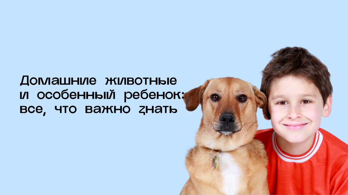 Домашние животные и особенный ребенок: все, что важно знать | Школа Героев:  адаптивный спорт для детей с ОВЗ | Дзен