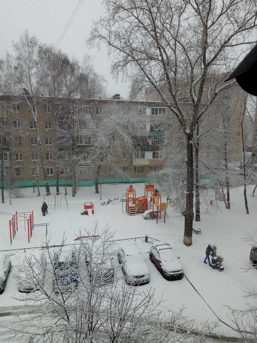 Вид из окна дома.