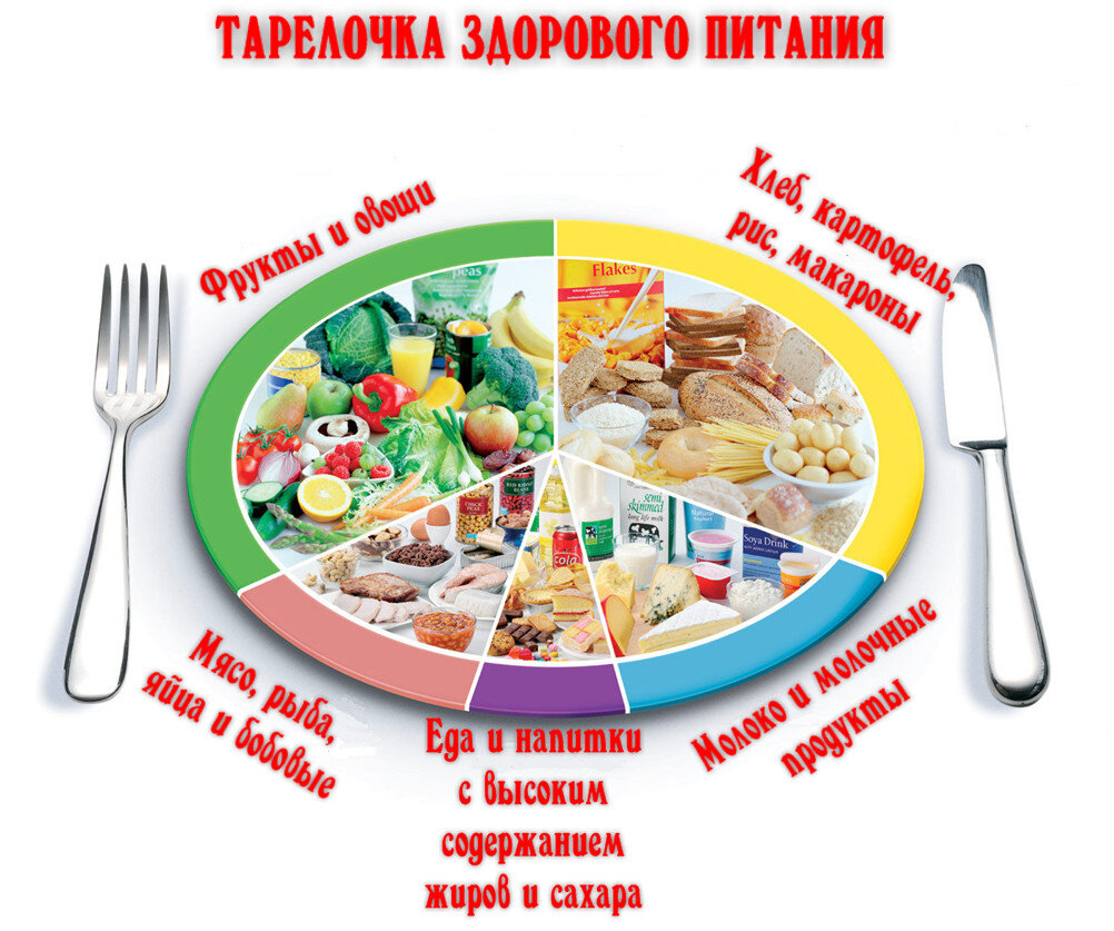 Тарелка правильного питания в картинках