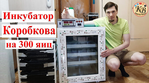 Инкубатор владимира коробкова