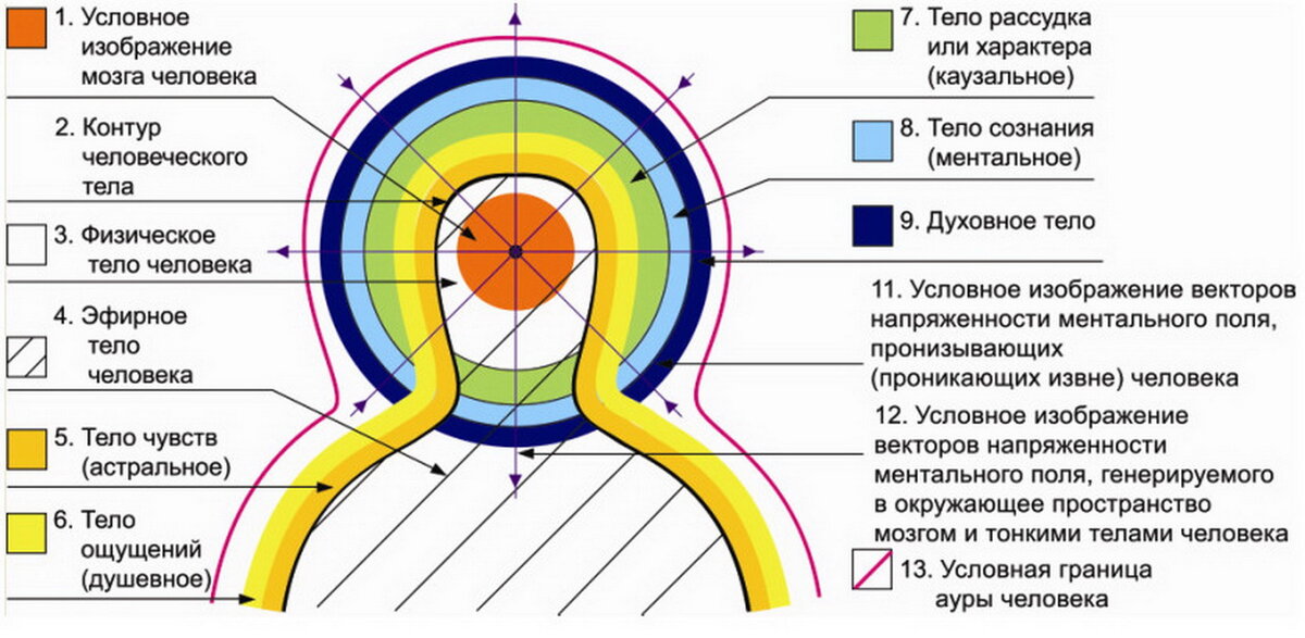 Эфирное соединение чистая концепция. Схема тонких тел человека и их функции. Оболочки человека тонкие тела их строение и функции. Схема энергетических оболочек человека. Тела человека физическое эфирное.