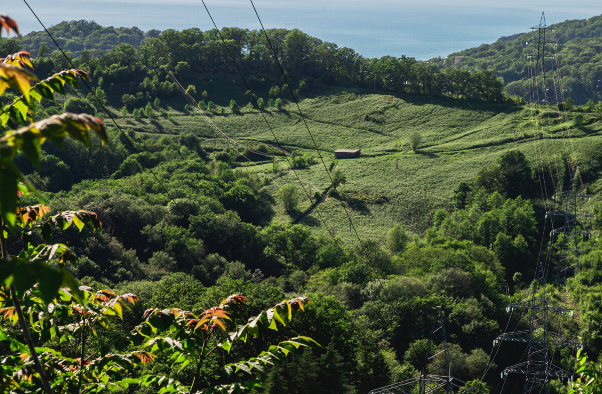 Прекрасный вид моря и невозможность строительства индивидуальных жилых домов вблизи опасных объектов и территории имеющих ограничения на строительство. Такая красота всегда имеет дисконт. 