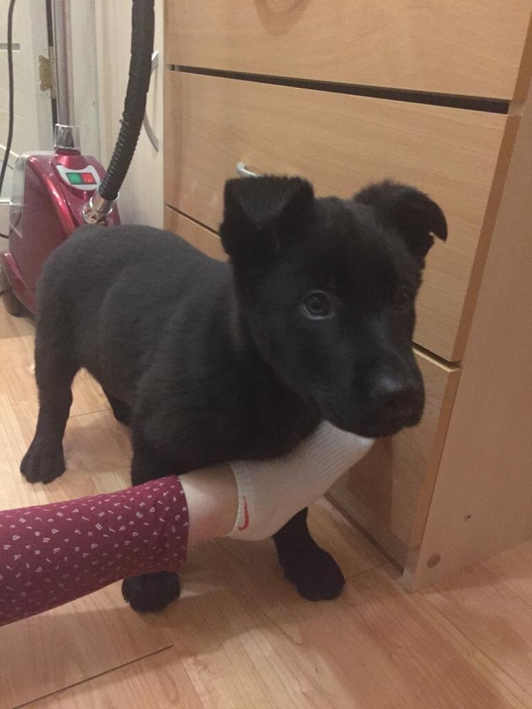 "Приглядывание" 😁ограничение деятельности (архив автора) 