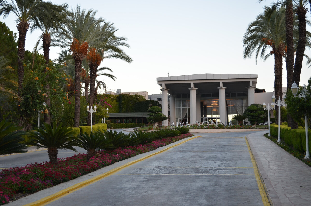 Подъездная дорожка к отелю... Фото автора