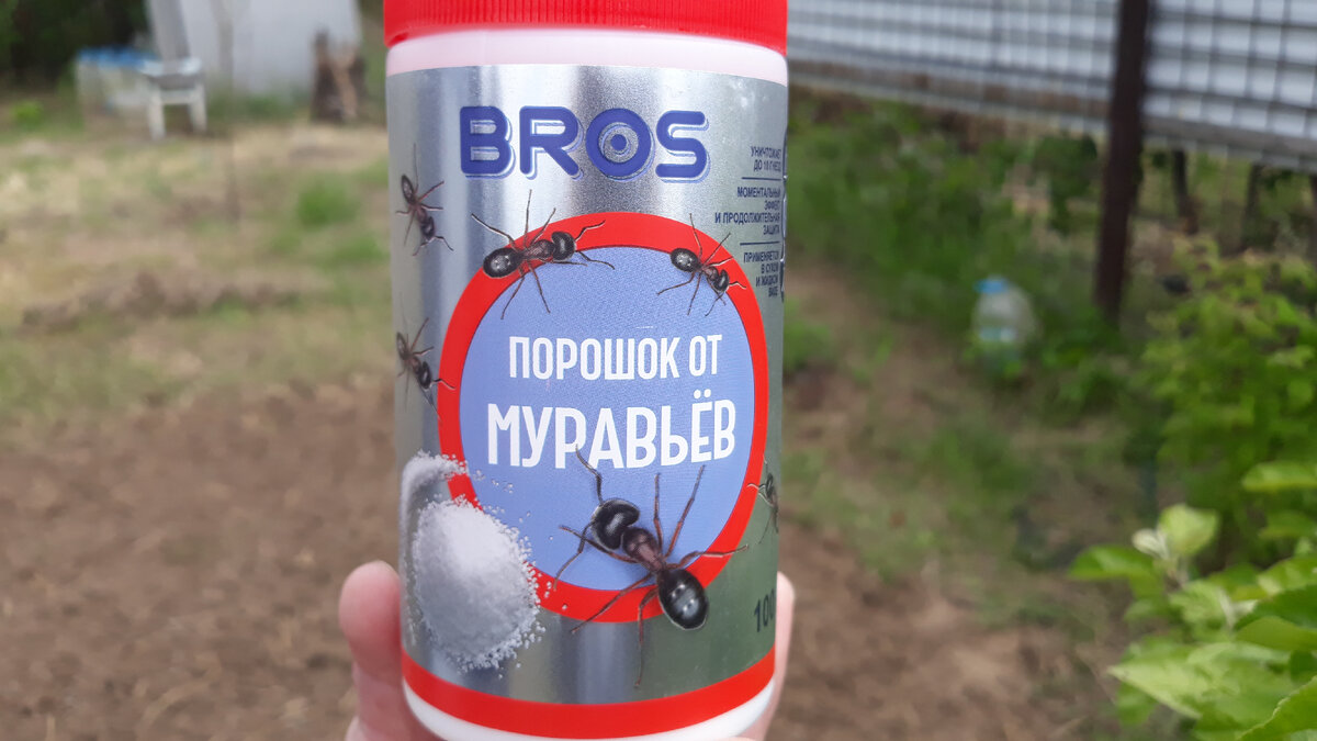 Порошок против муравьёв Bros!!!🐜🐜🐜 | DiDi Meal | Дзен