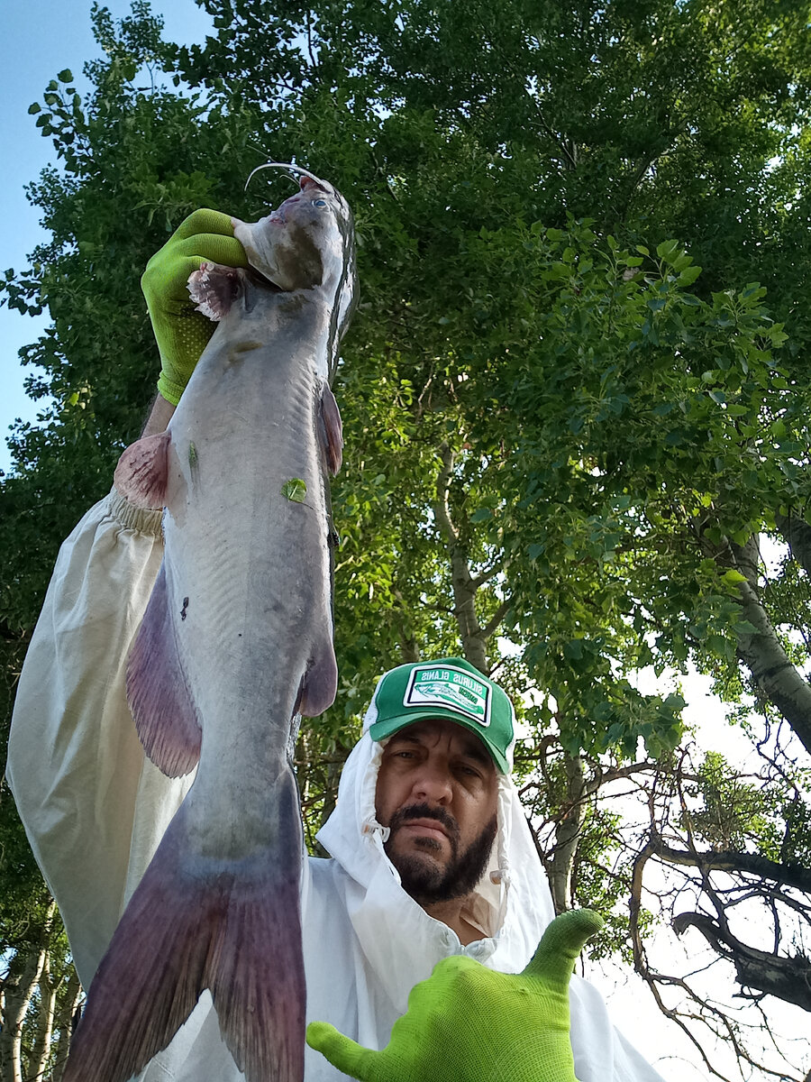 Трофейный экземпляр очень бойкая рыбина на выхаживании.