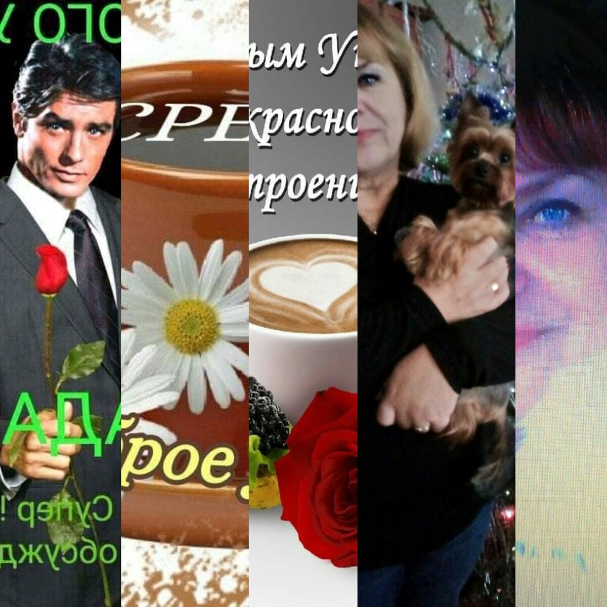 Фото автора Tatiana Fedotova-Московская