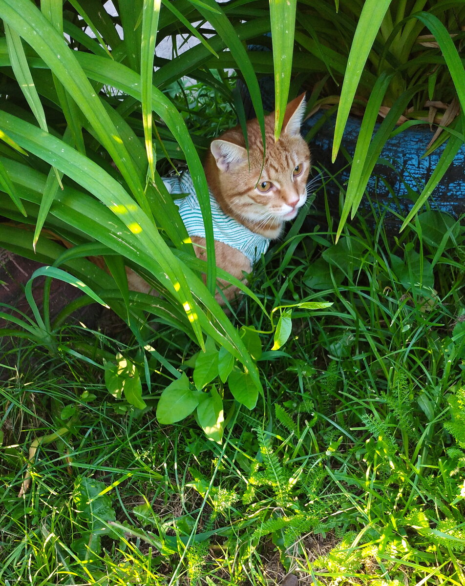 Личное фото.