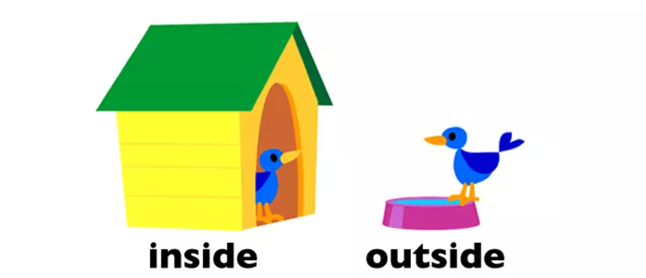 The word inside is. Inside, outside. Inside outside activities. Inside vs outside. Outside картинка для детей.