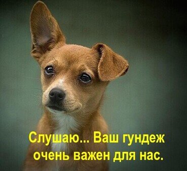 Слушай эго вполуха!