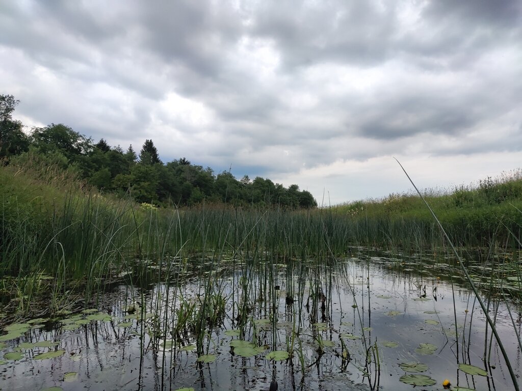 Температура воды в реке Руза - актуальные данные