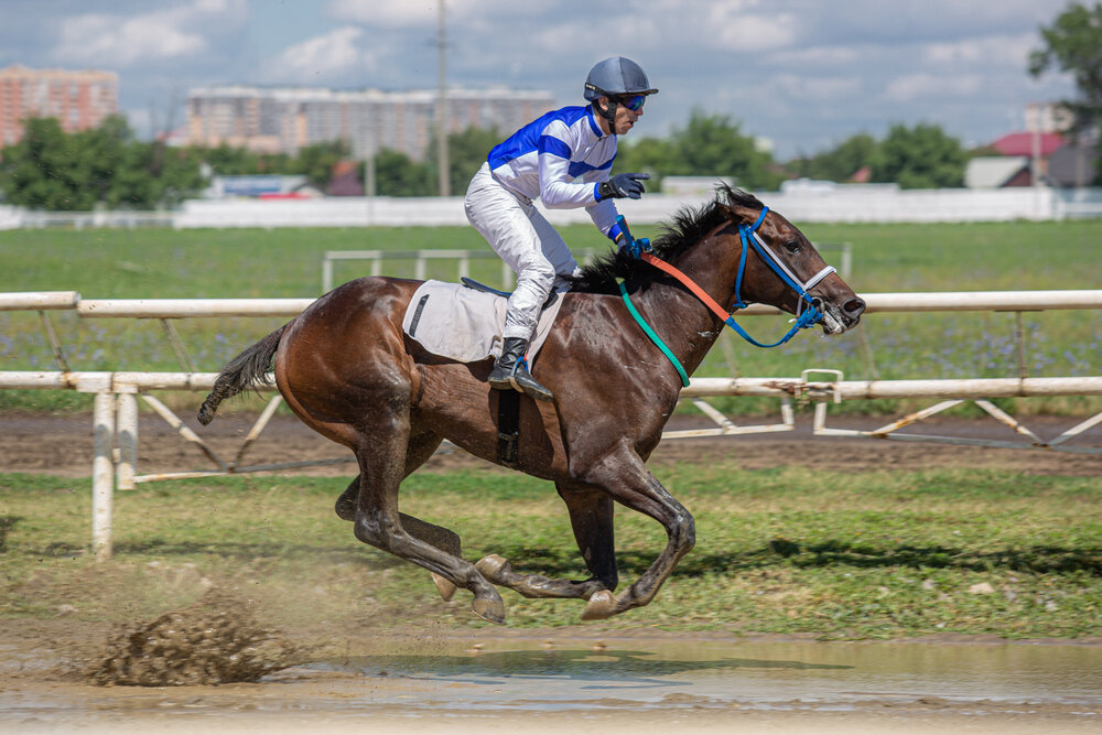 Ипподром Wetherby Великобритания