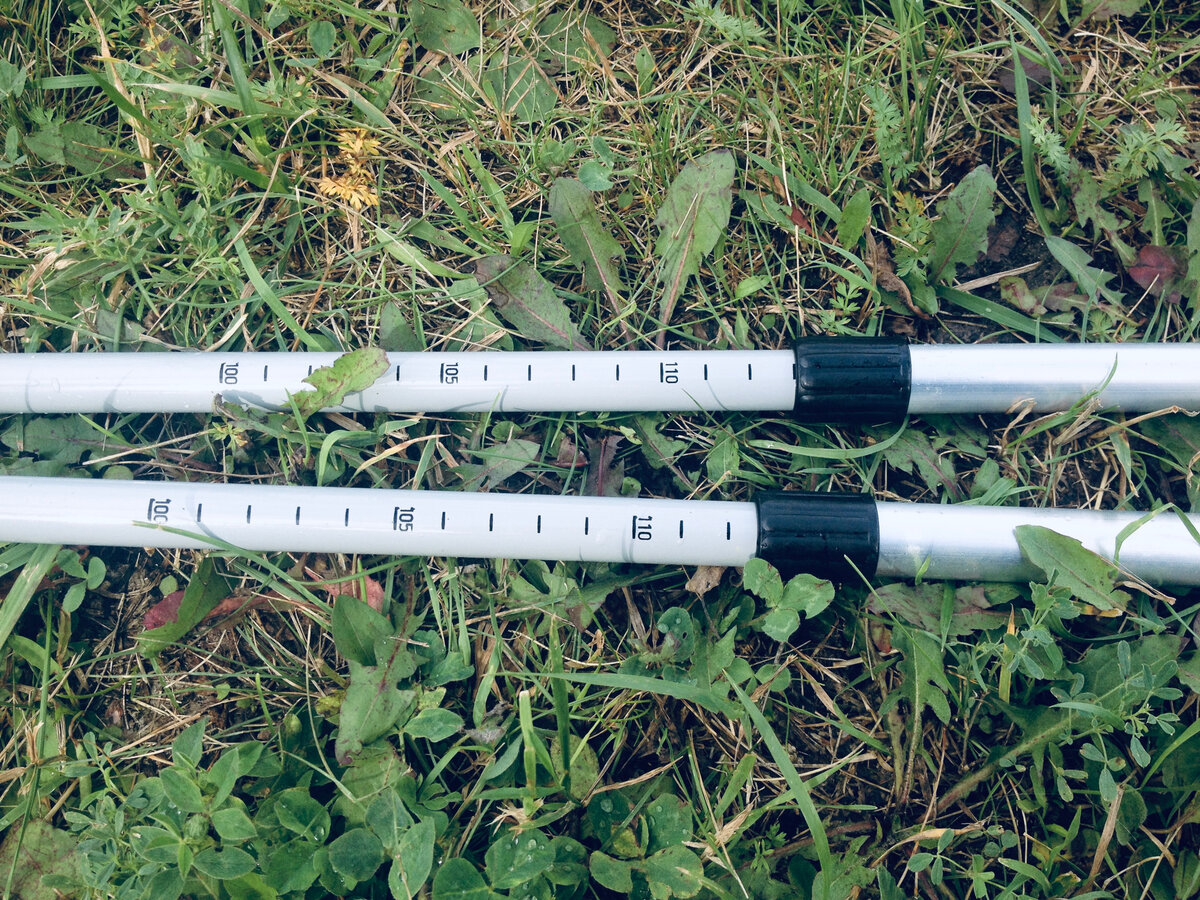 Телескопические палки для скандинавской ходьбы