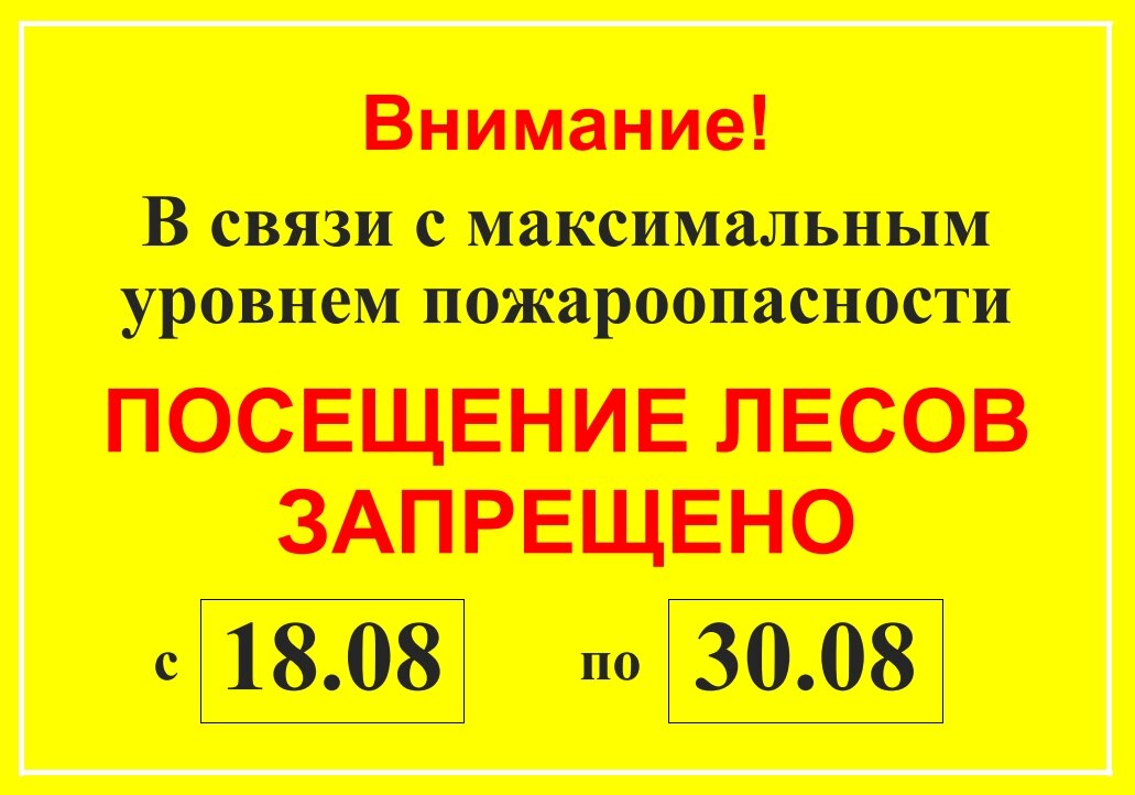 Предупредительный аншлаг, согласно информации которого введено ограничение на  посещение лесов. Обратите внимание – аншлаг должен быть размером не менее 1 х 1,5 метра.