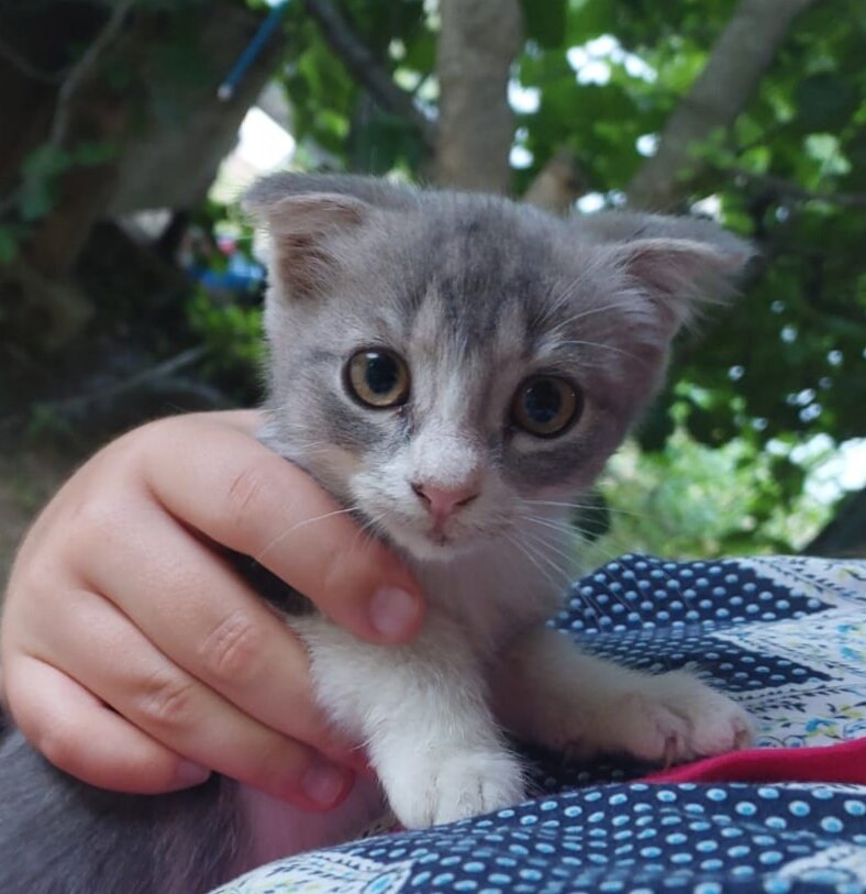 Такой вот пупсик жил с нами в домике