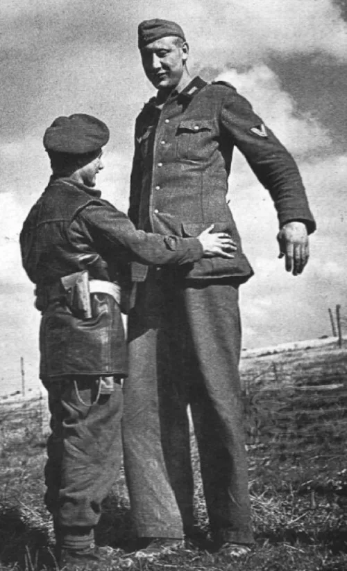 Яндекс. Картинки