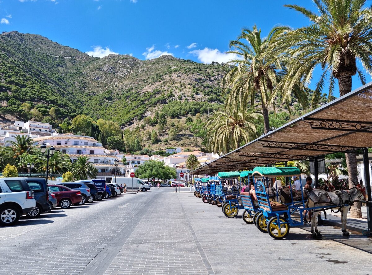 Ослики - символ Михас Пуэбло