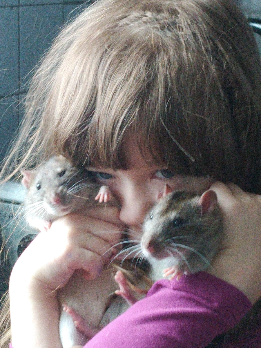 Пуфиндрий и Серго и Элизабет