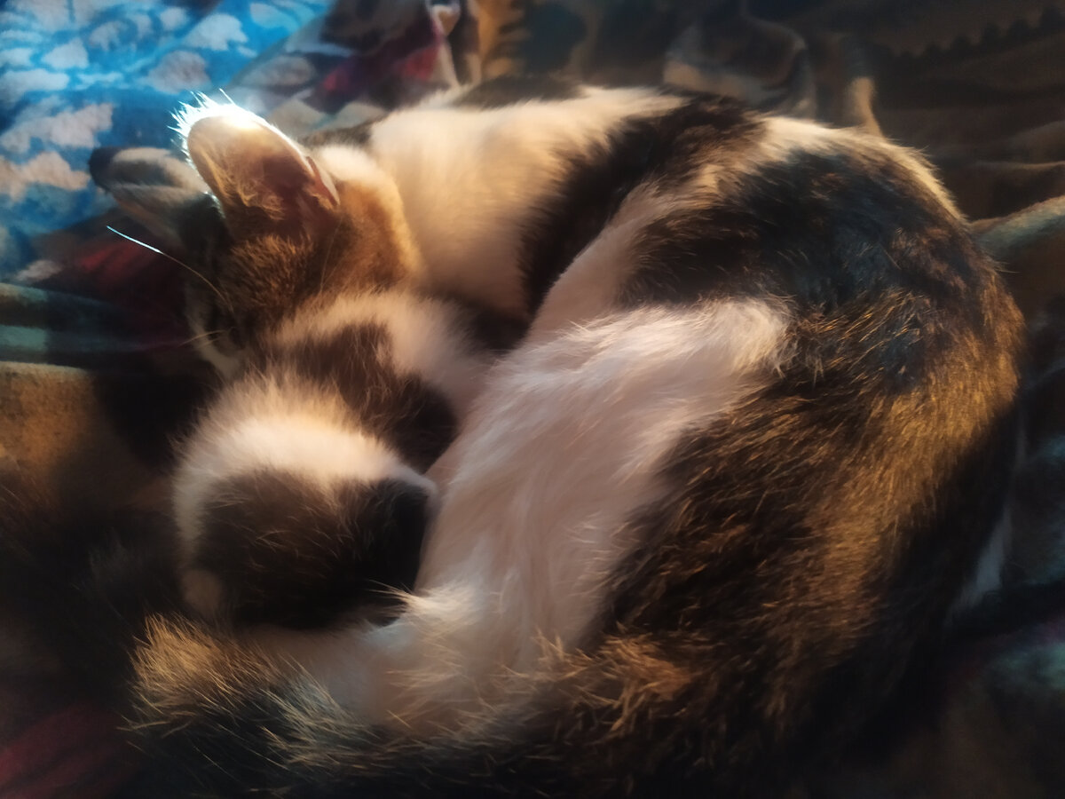 Старший брат греет младшего. Брата его зовут Кузьмич