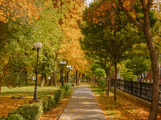   Информационный штаб