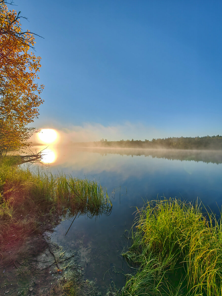 Восход Солнца в тумане на таёжном озере
