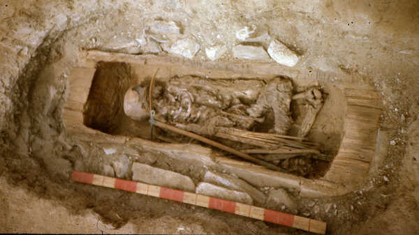   © photo : Press service of the St Petersburg Institute of Material History Culture