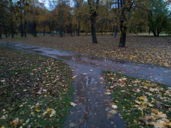   Фото ИА «Росбалт», Наталья Станэску