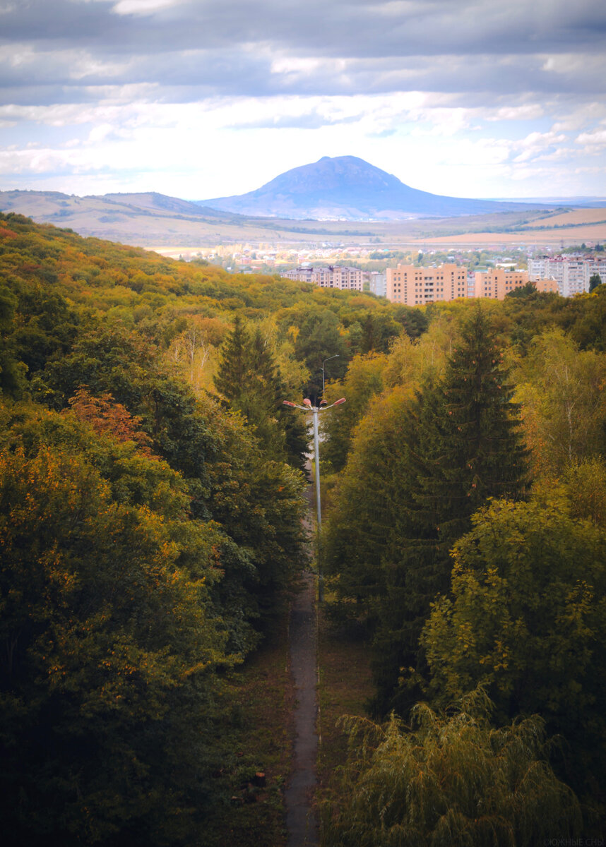 Картинка Льва Железноводск