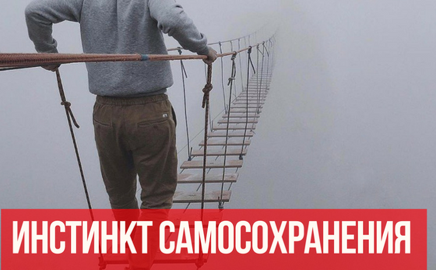 Способность к самосохранению. Инстинкт самосохранения. Чувство самосохранения. Слабый инстинкт самосохранения. Самосохранение человека.