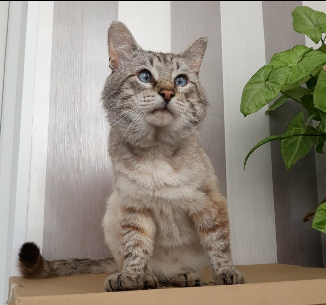 здесь я еще не совсем красавчик, но уже что то)))