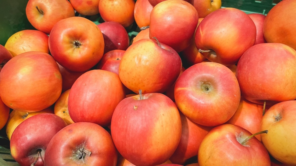     Агрофирма «Заря» направила в Казань 1 030 кг яблок мобилизованным татарстанцам. Такую информацию порталу «Волжская новь» сообщила сотрудница предприятия.