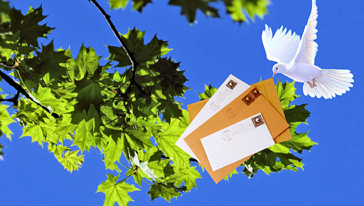 Монтаж из картинок, взятых в интернете