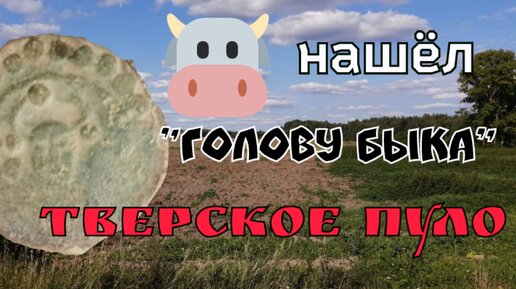 НАШЁЛ ГОЛОВУ БЫКА ТВЕРСКОЕ ПУЛО. ПОИСК МОНЕТ И СТАРИНЫ С ЭКВИНОКС 800.