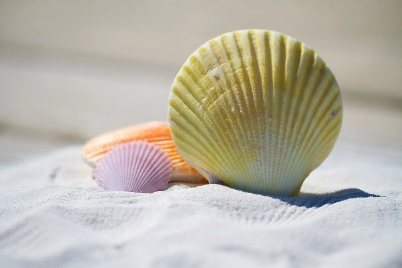 Изображение julia roman с сайта Pixabay