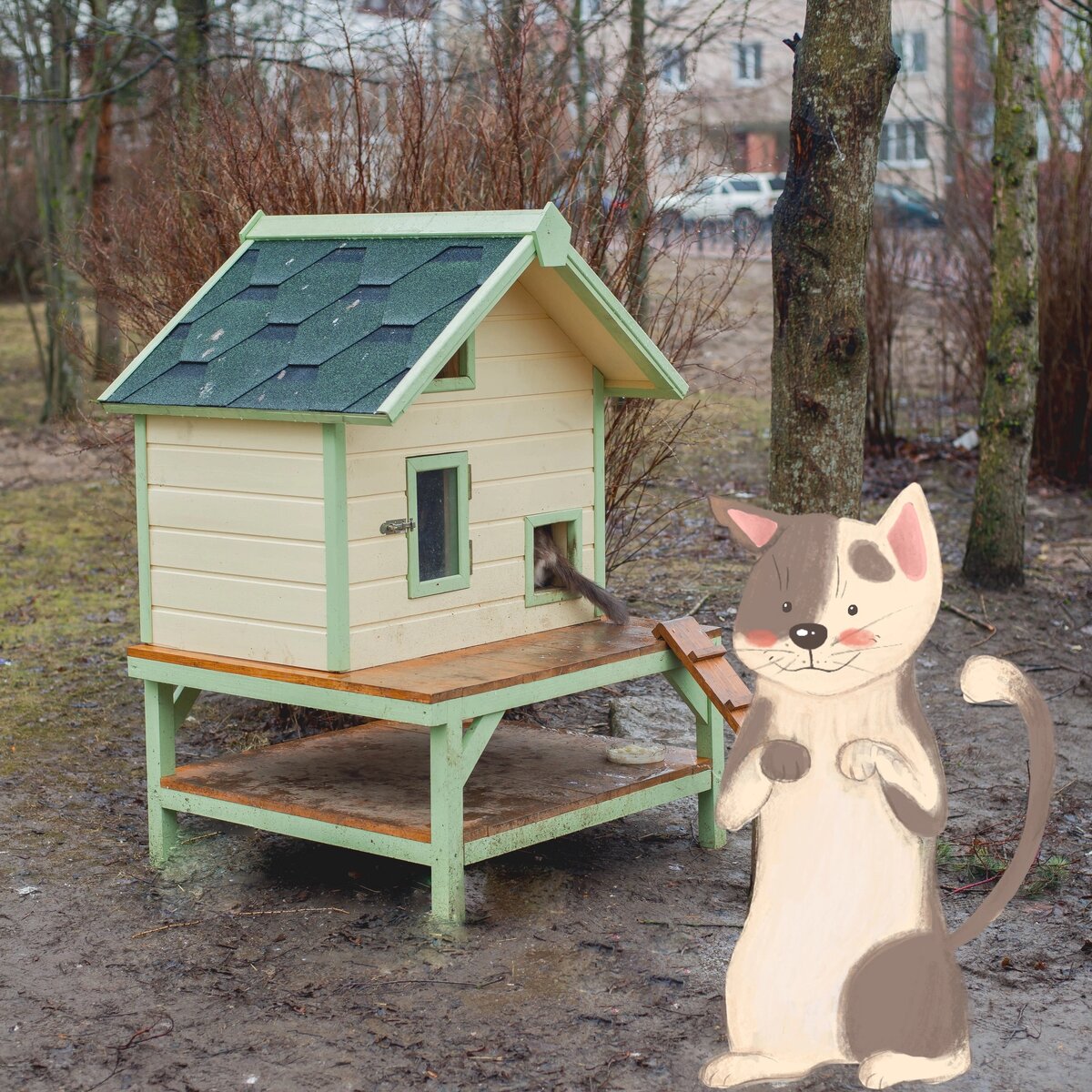 Уличный домик для кошек.