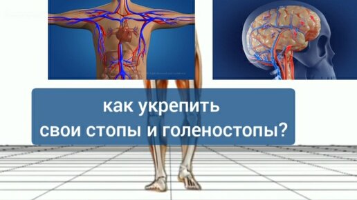 Как стопы влияют на позвоночник, сердце, мозг? 2 уникальных упражнения для сводов стоп