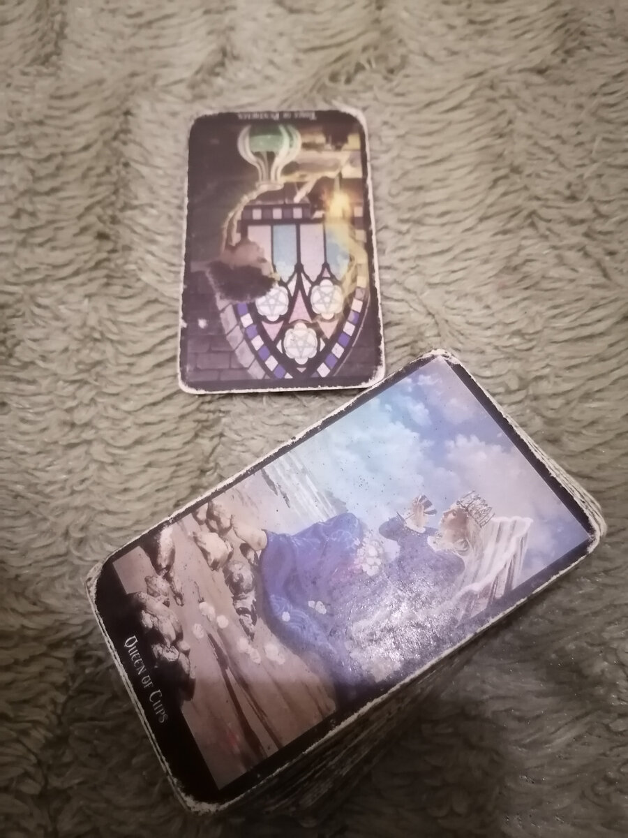 Фото автора.