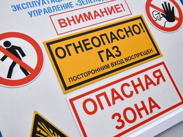   © РИА Новости Максим Богодвид