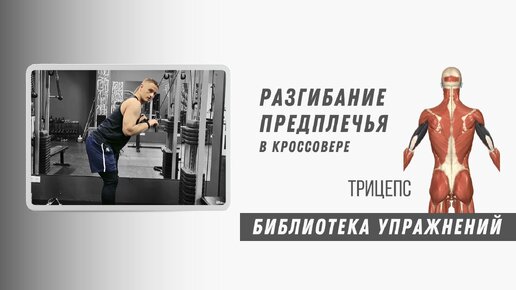 Разгибание предплечья в кроссовере. Техника выполнения. Упражнение на трицепс.