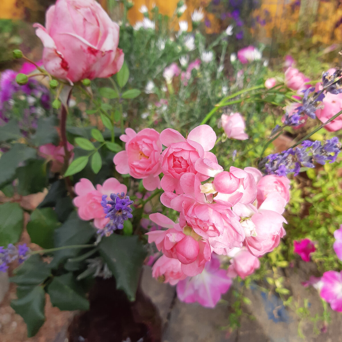 Все краски сентября.