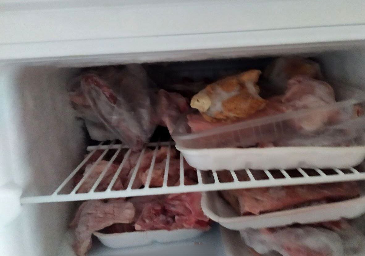 Не успеешь и глазом моргнуть, как в морозилке появляется лед 